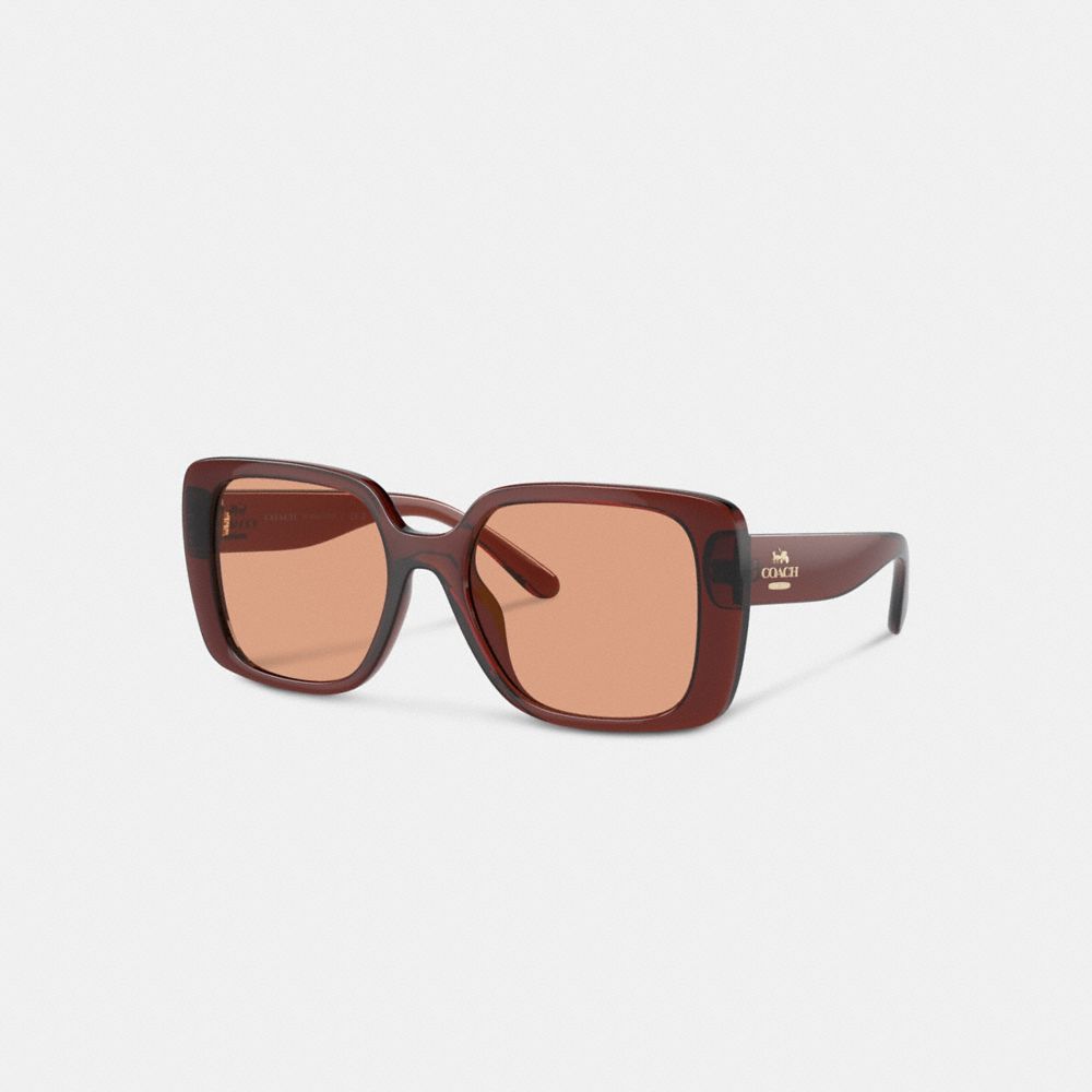 Coach outlet clearance store sunglasses