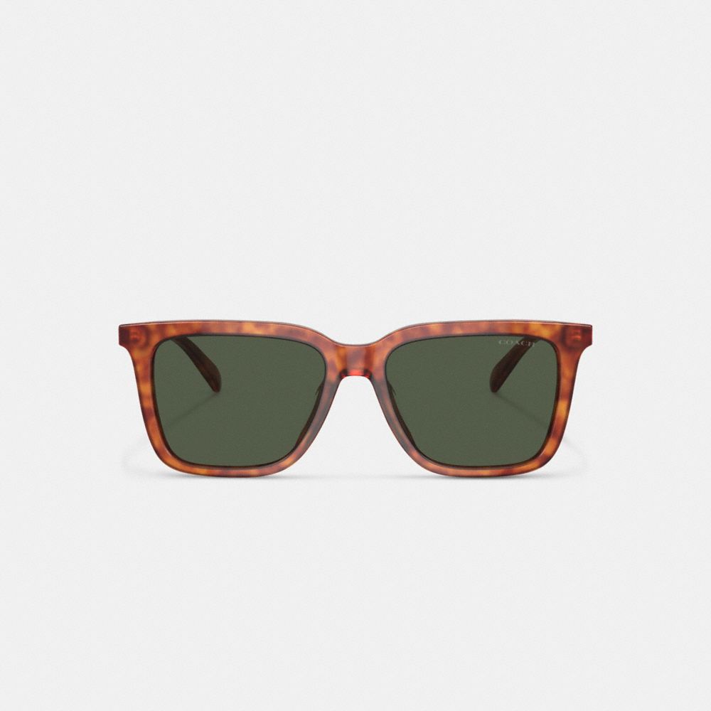 COACH®,Signature Square Sunglasses,Square,Tortoise,Logo,Metal,Integrated Nose Pads,Casual,Olive,Inside View,Top View