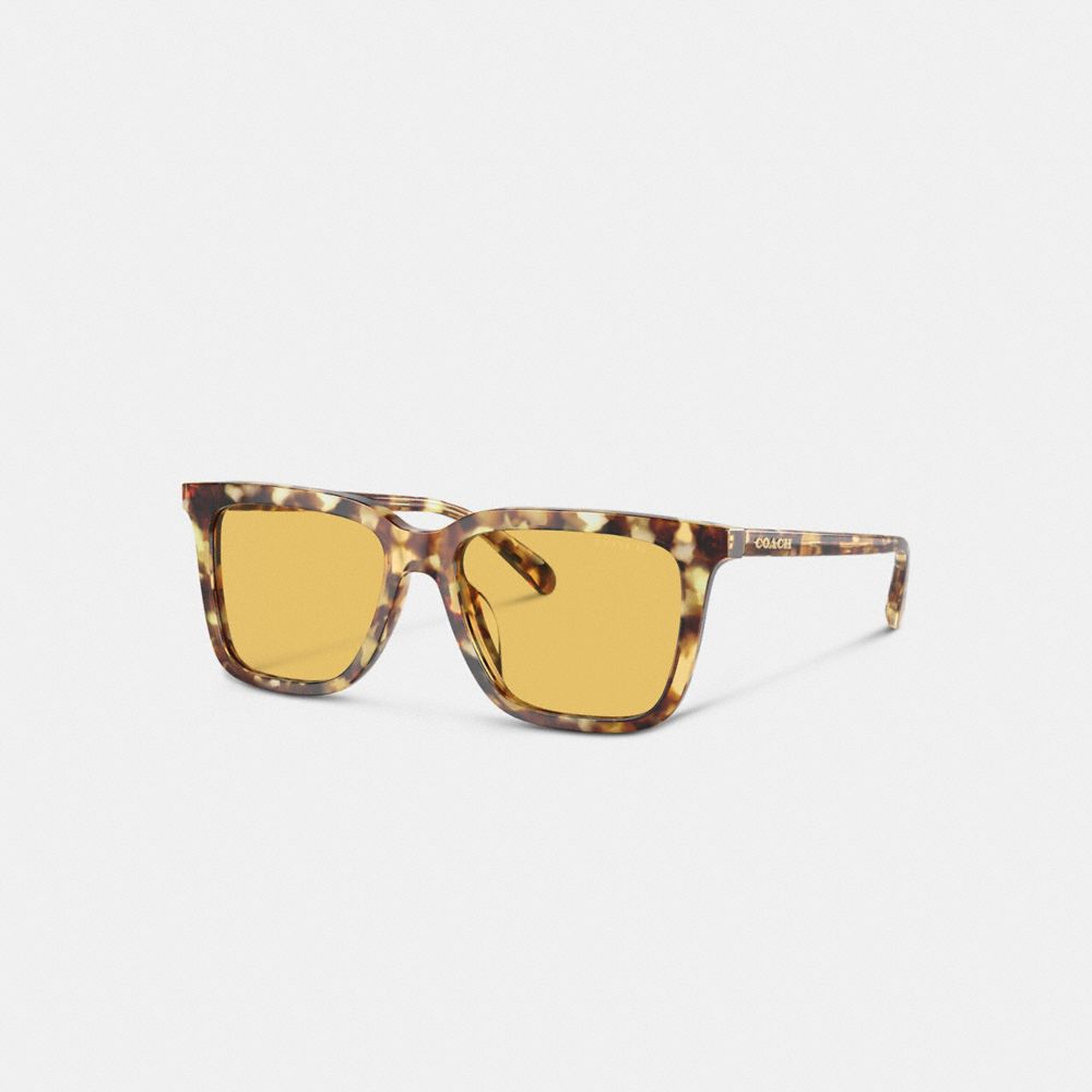 Coach signature square sunglasses online