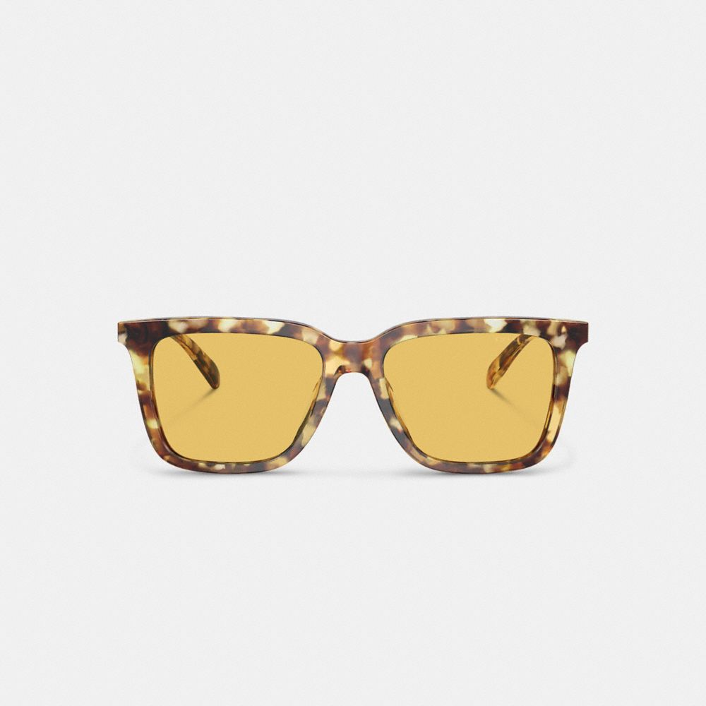 COACH®,SIGNATURE SQUARE SUNGLASSES,Honey Tortoise,Inside View,Top View