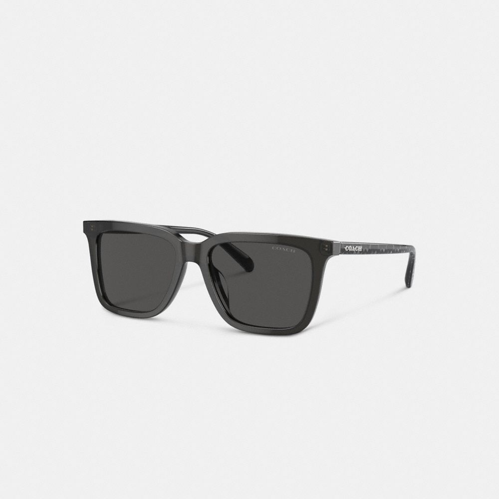 Coach Men's CL910 Polarized Sunglasses