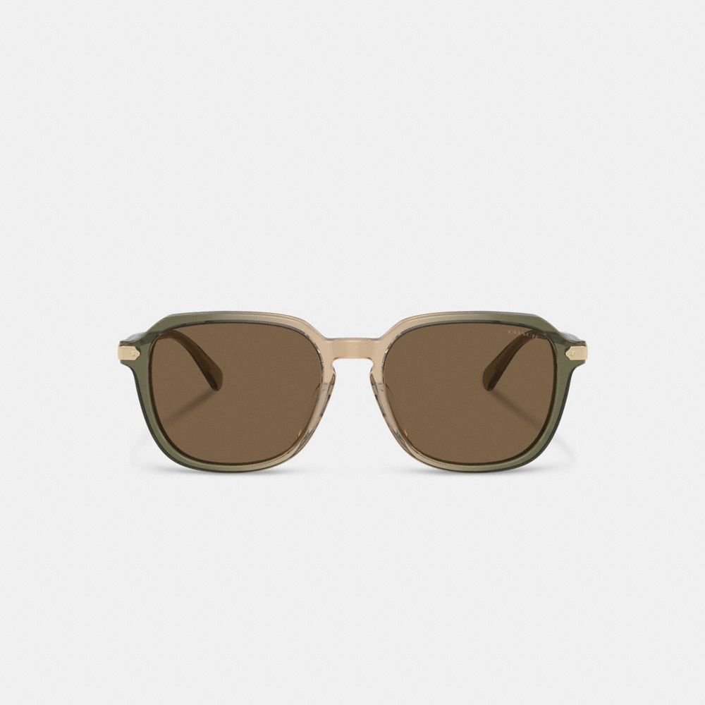 COACH®,WRAP-AROUND HANGTAG KEYHOLE SUNGLASSES,Green/Tan Gradient,Inside View,Top View