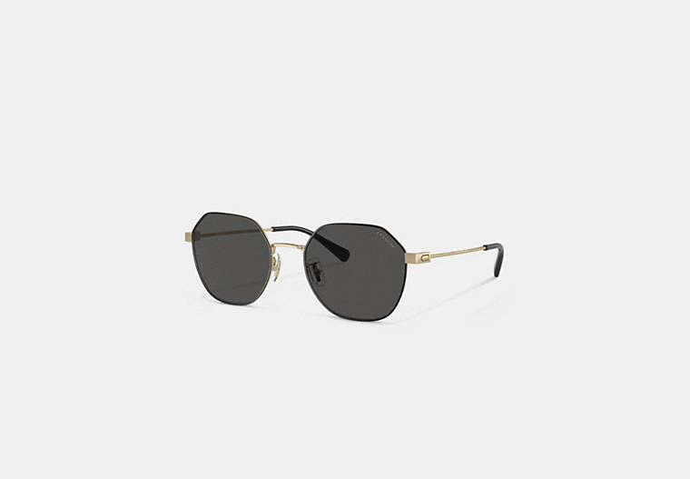 COACH®,HINGED GEOMETRIC ROUND SUNGLASSES,Gold Black,Front View