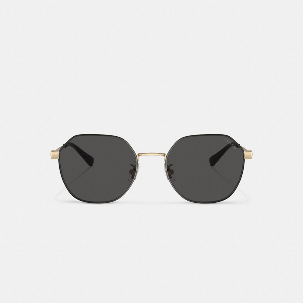 COACH®,HINGED GEOMETRIC ROUND SUNGLASSES,Gold Black,Inside View,Top View