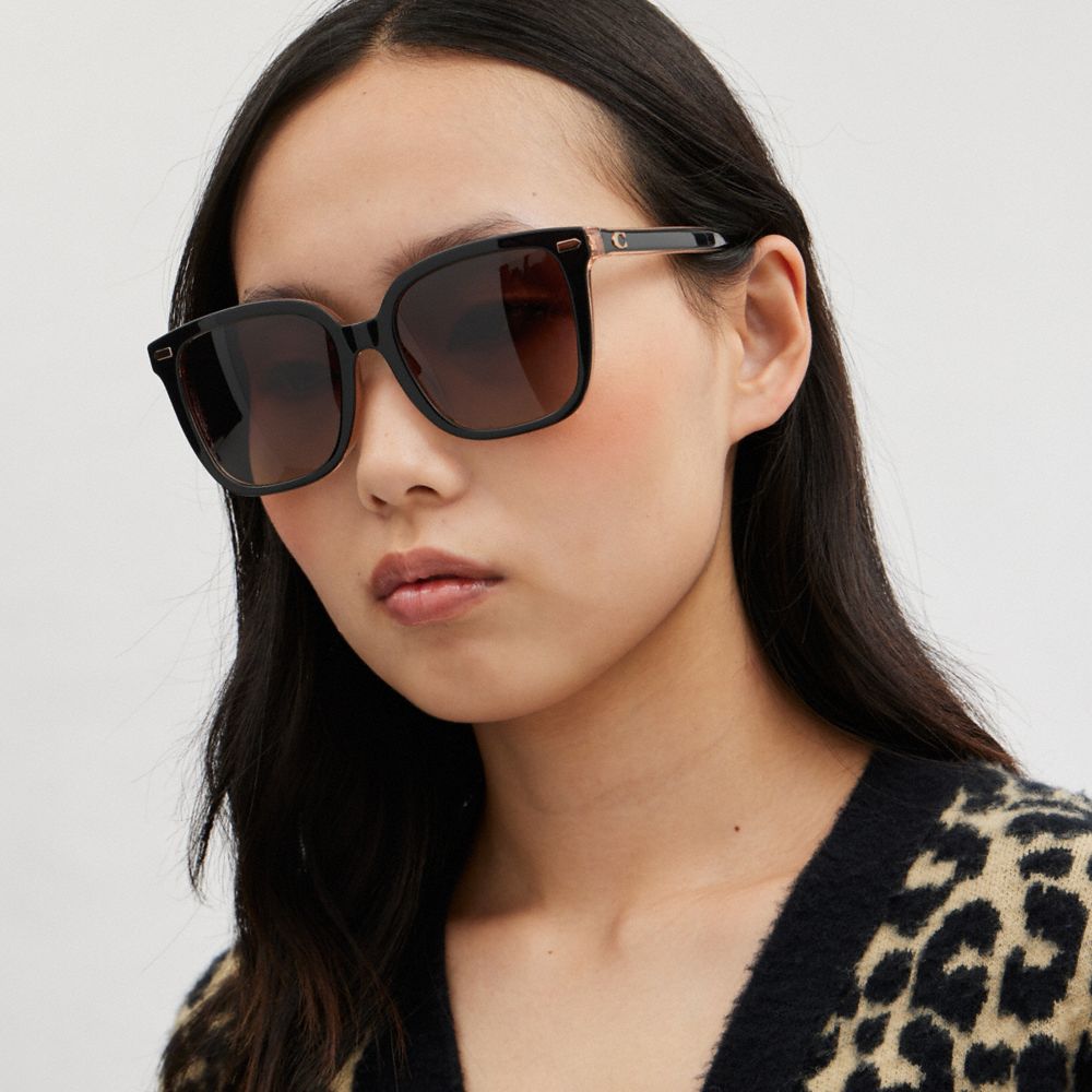 Coach 2024 oversized sunglasses