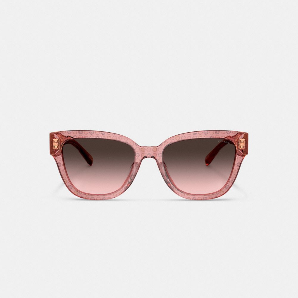 COACH®,Signature Round Sunglasses,Wayfarer,Acetate,Tortoise,Integrated Nose Pads,Casual,Multi Color,Inside View,Top View