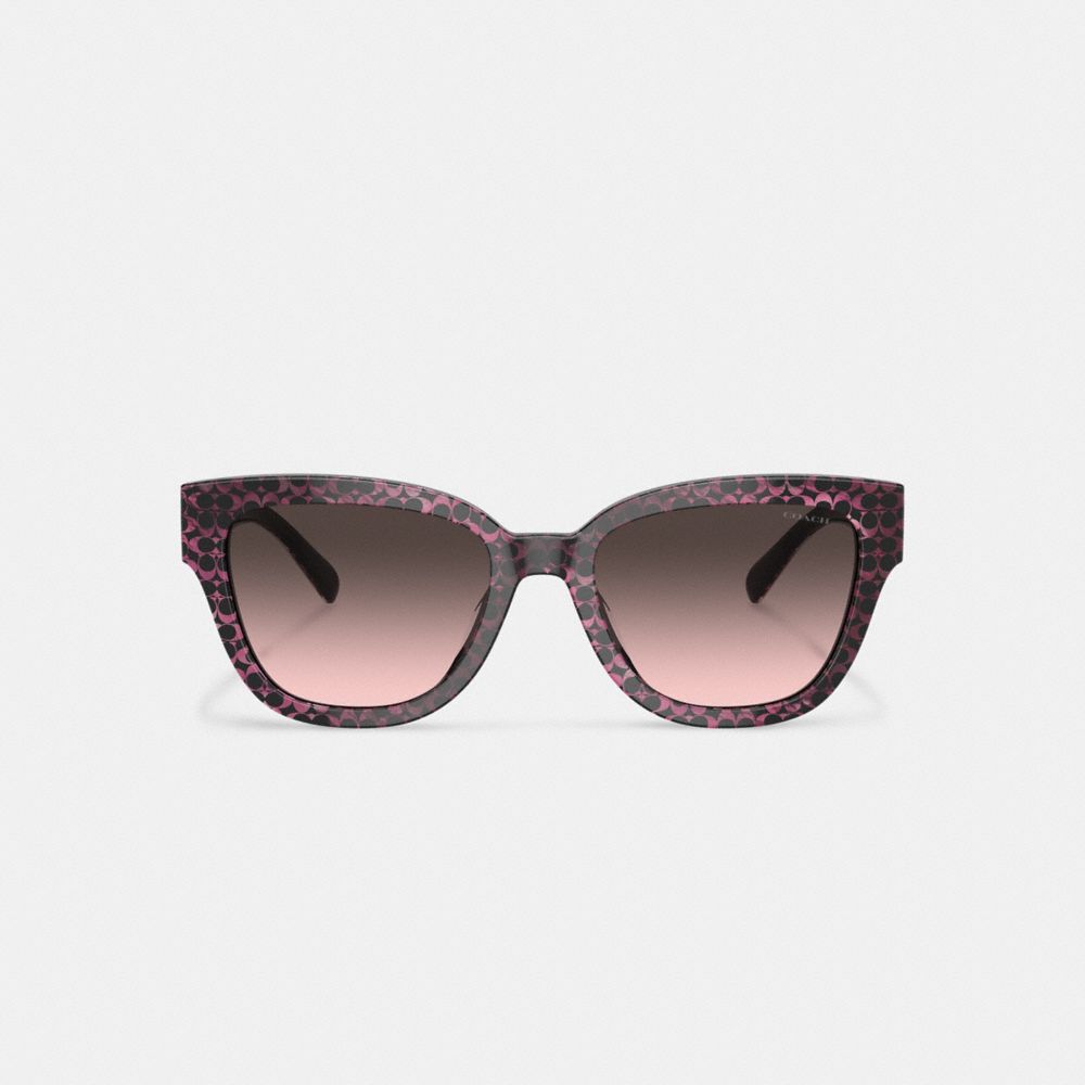 COACH®,Signature Round Sunglasses,Wayfarer,Acetate,Tortoise,Integrated Nose Pads,Casual,Multi Color,Inside View,Top View
