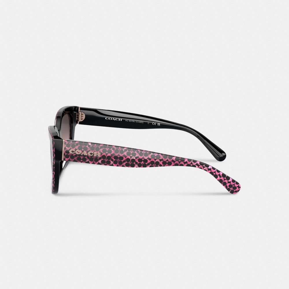 COACH®,Signature Round Sunglasses,Wayfarer,Acetate,Tortoise,Integrated Nose Pads,Casual,Multi Color,Alternate View
