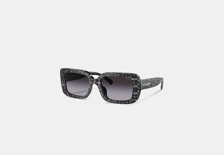 COACH®,SIGNATURE OVERSIZED RECTANGLE SUNGLASSES,Silver Pearlized Signature,Front View