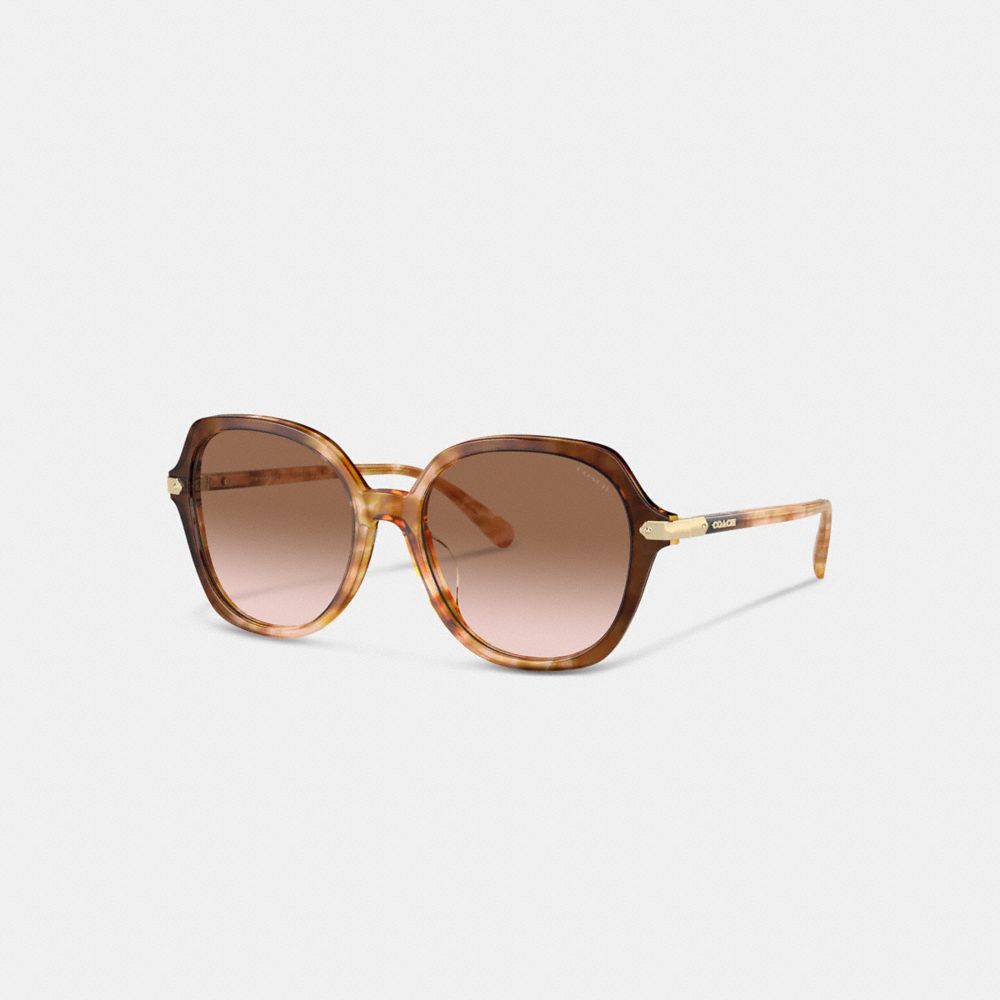 COACH®,WRAP-AROUND HANGTAG OVERSIZED GEOMETRIC ROUND SUNGLASSES,Honey Tortoise,Front View