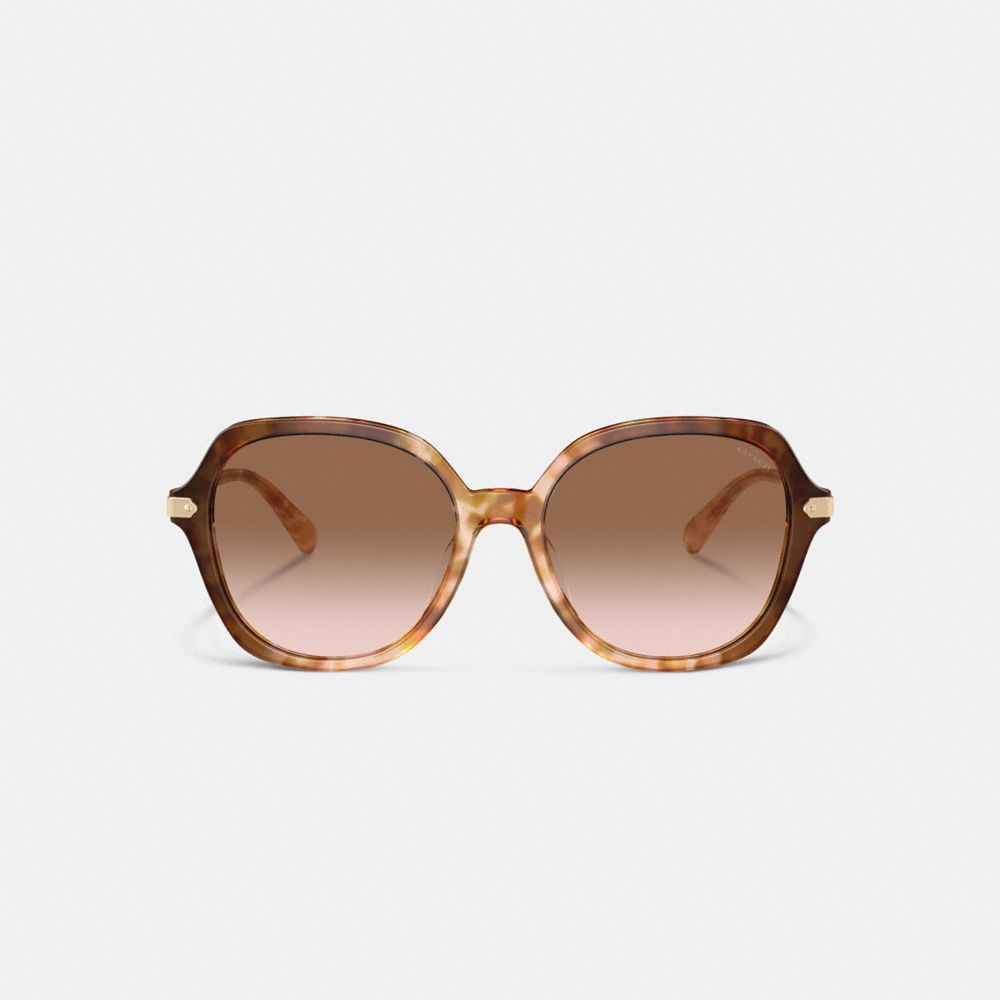 COACH®,Wrap Around Hangtag Oversized Geometric Round Sunglasses,Square,Tortoise,Logo,Metal,Integrated Nose Pads,Casual,Brown,Inside View,Top View
