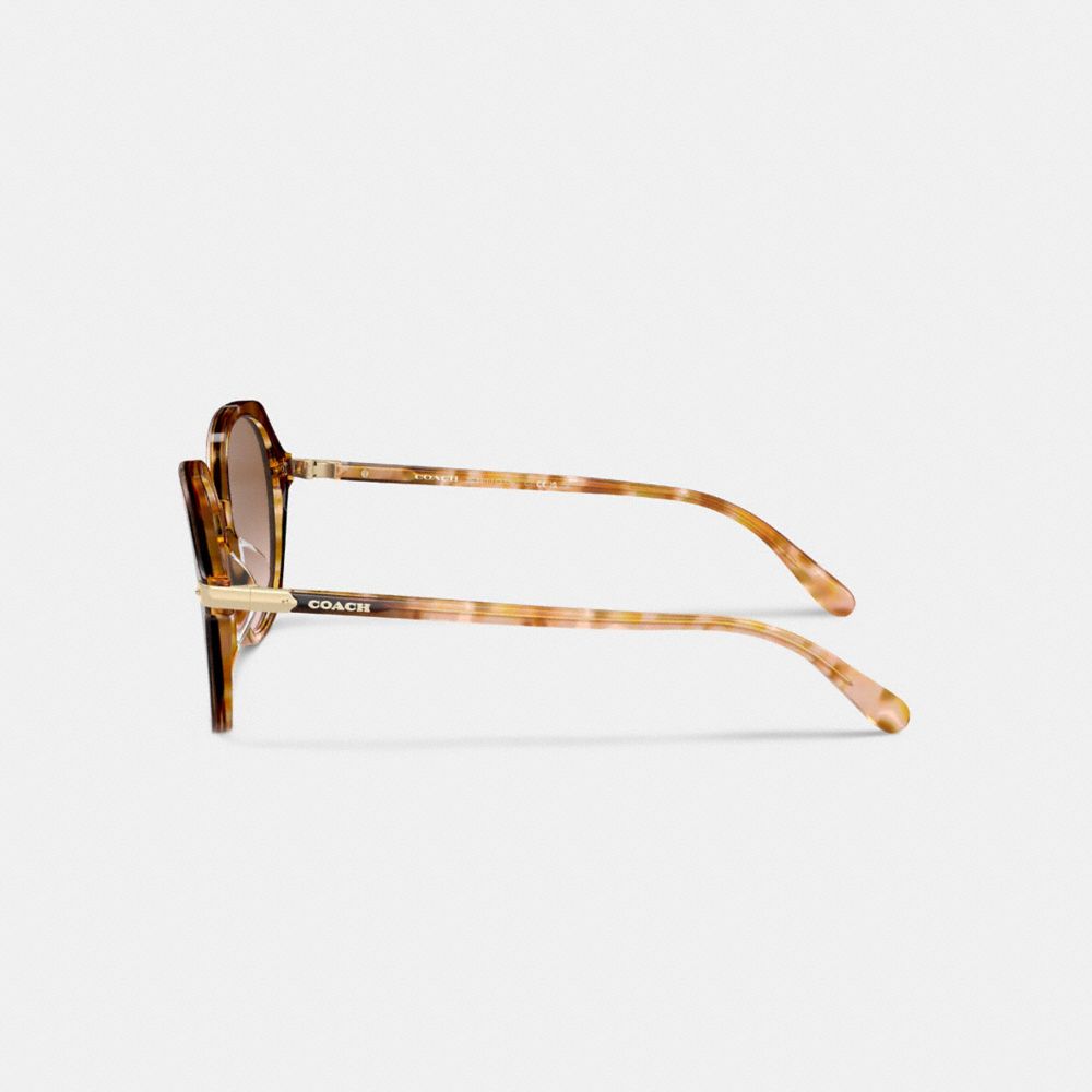 COACH®,Wrap Around Hangtag Oversized Geometric Round Sunglasses,Square,Tortoise,Logo,Metal,Integrated Nose Pads,Casual,Brown,Alternate View