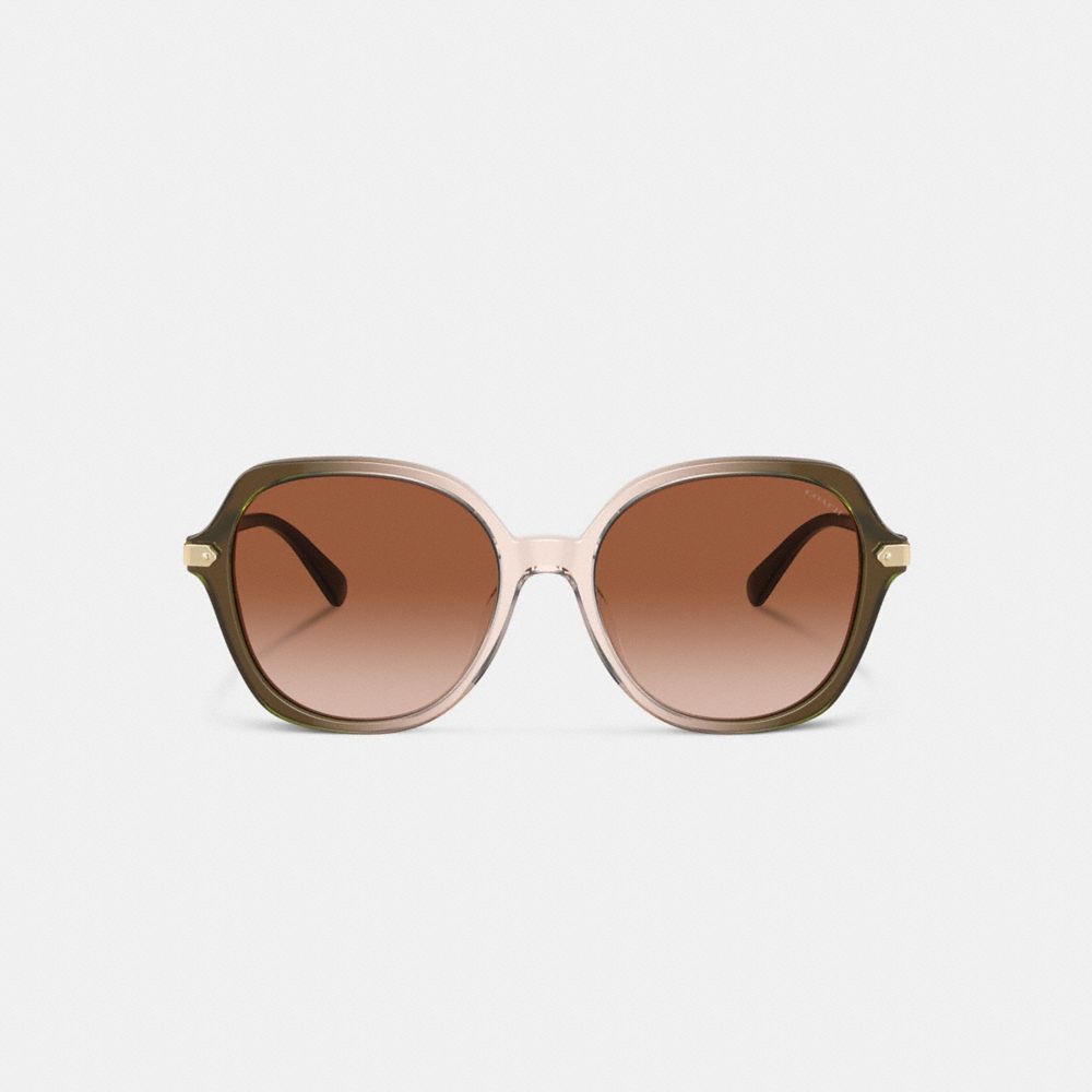 COACH®,Wrap Around Hangtag Oversized Geometric Round Sunglasses,Square,Tortoise,Logo,Metal,Integrated Nose Pads,Casual,Brown,Inside View,Top View