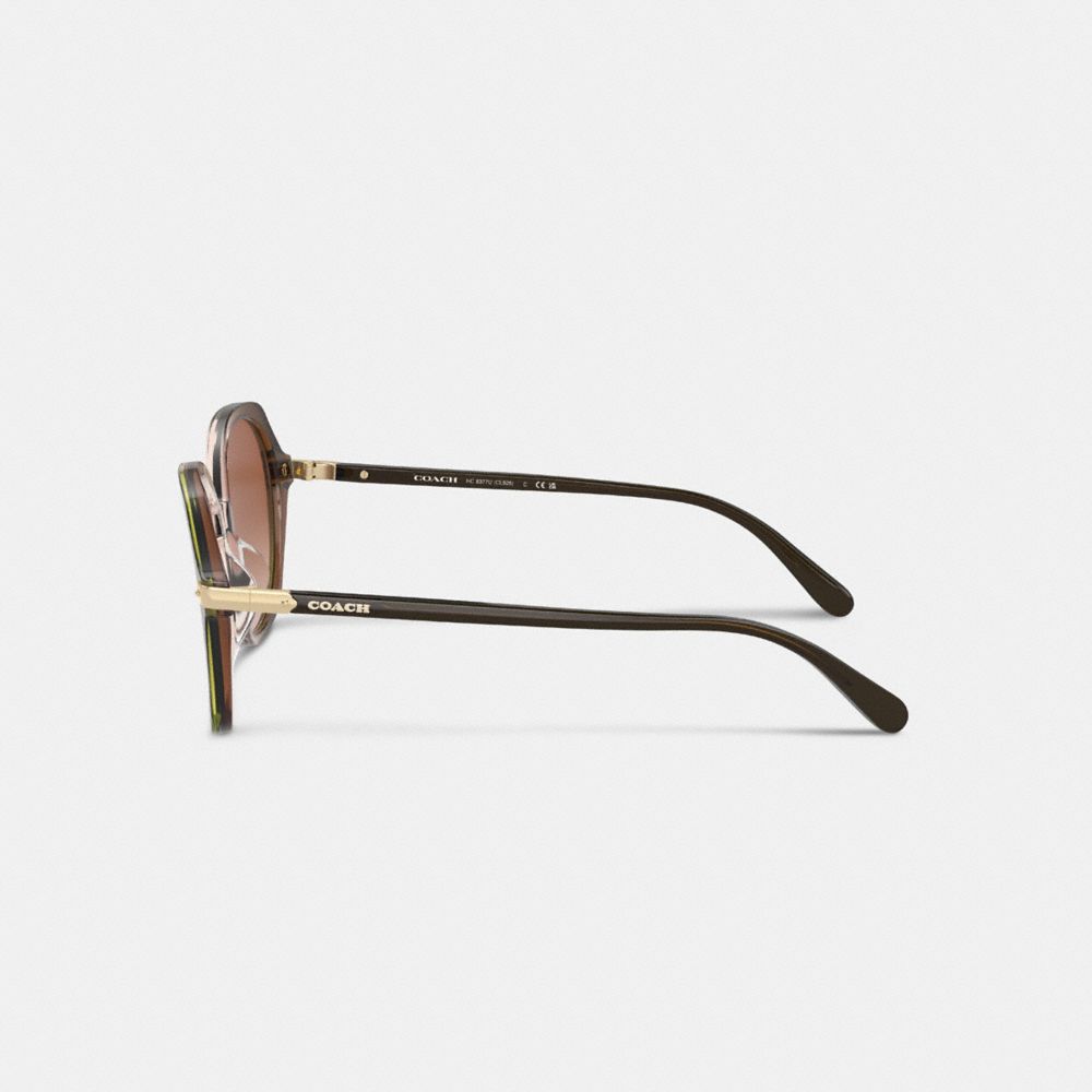 COACH®,Wrap Around Hangtag Oversized Geometric Round Sunglasses,Square,Tortoise,Logo,Metal,Integrated Nose Pads,Casual,Brown,Alternate View