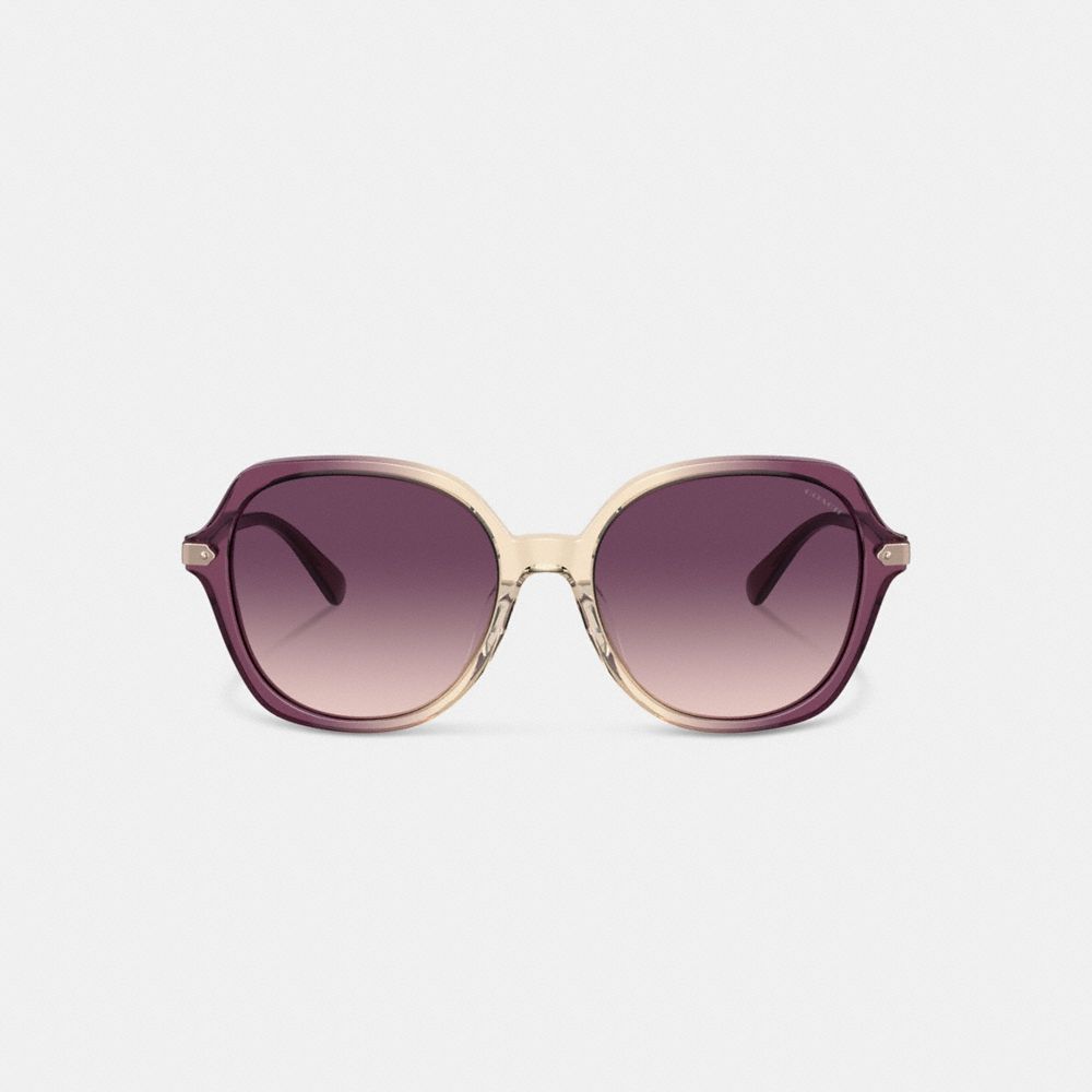 COACH®,WRAP-AROUND HANGTAG OVERSIZED GEOMETRIC ROUND SUNGLASSES,Purple/Beige Gradient,Inside View,Top View