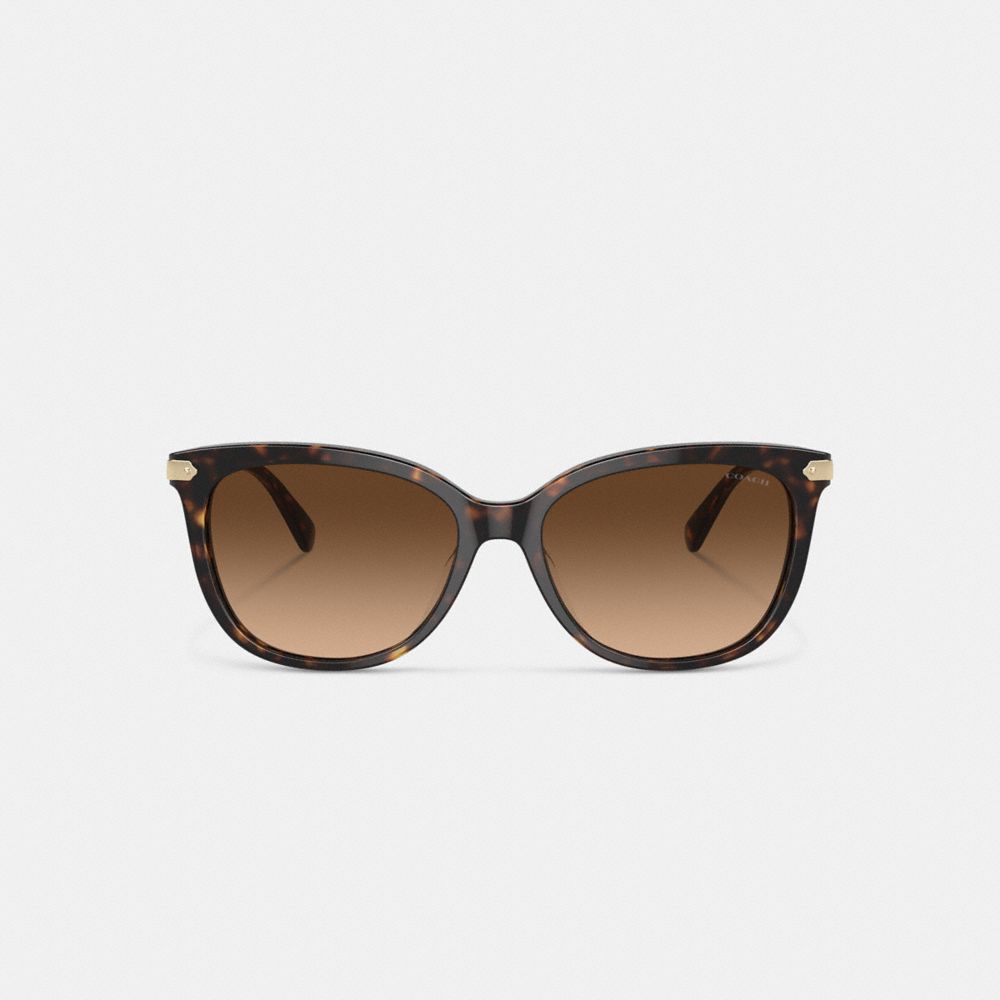 COACH®,LUNETTES DE SOLEIL CARRÉES AVEC ÉTIQUETTE ENVELOPPANTE,Écaille de tortue sombre,Inside View,Top View