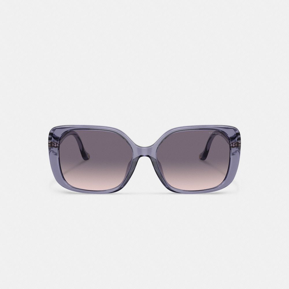 COACH®,Swoop Temple Rectangle Sunglasses,Square,Metal,Logo,Integrated Nose Pads,Casual,Gray,Inside View,Top View