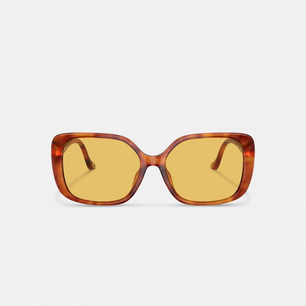 COACH®,SWOOP TEMPLE RECTANGLE SUNGLASSES,Caramel Tortoise,Inside View,Top View