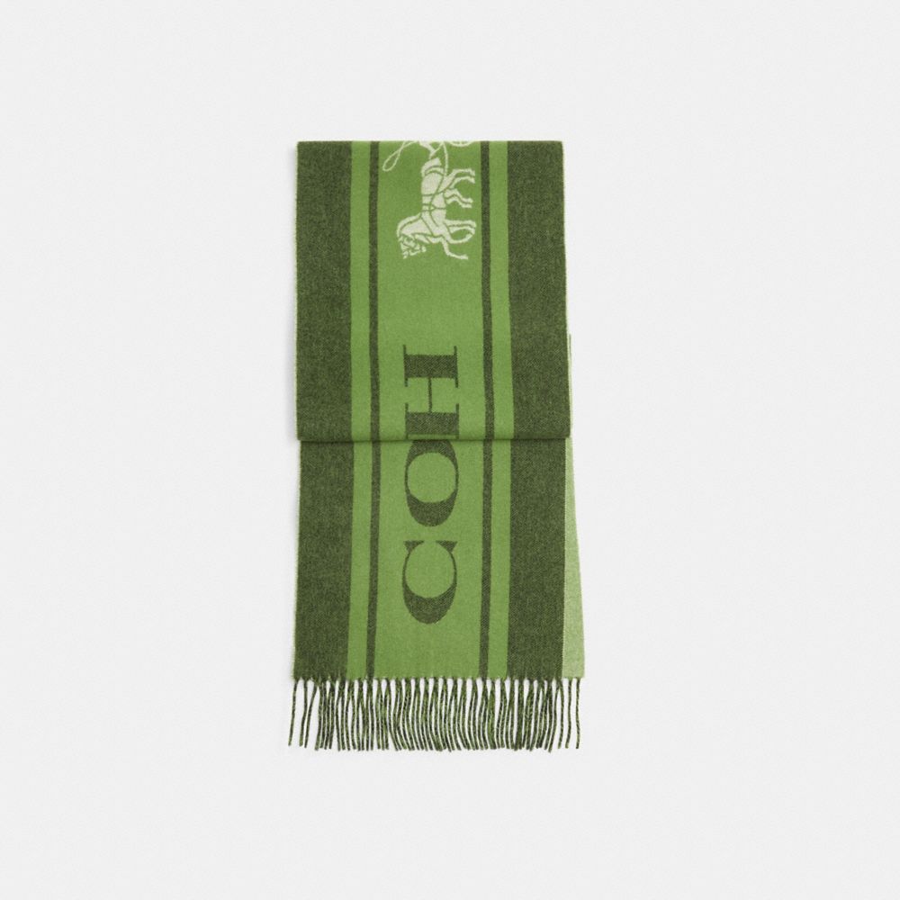 COACH®,VARSITY SPORT CASHMERE MUFFLER,Amazon Green,Front View image number 0