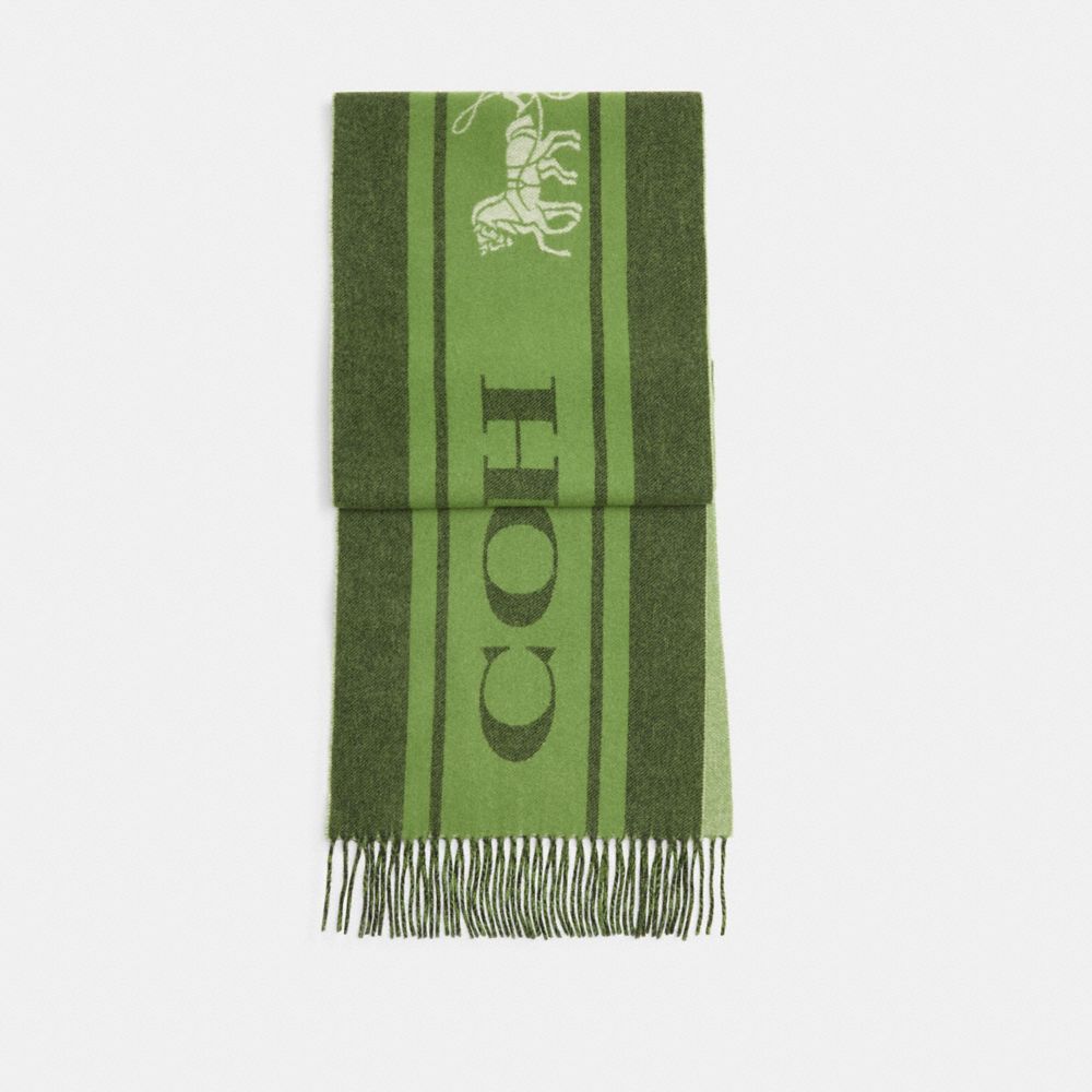 COACH®,VARSITY SPORT CASHMERE MUFFLER,Amazon Green,Front View