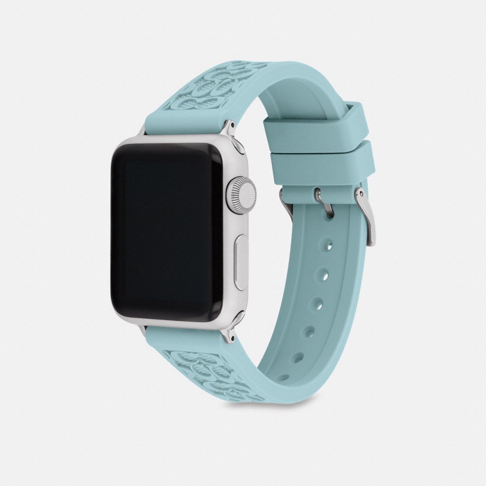 Seafoam green 2025 apple watch band