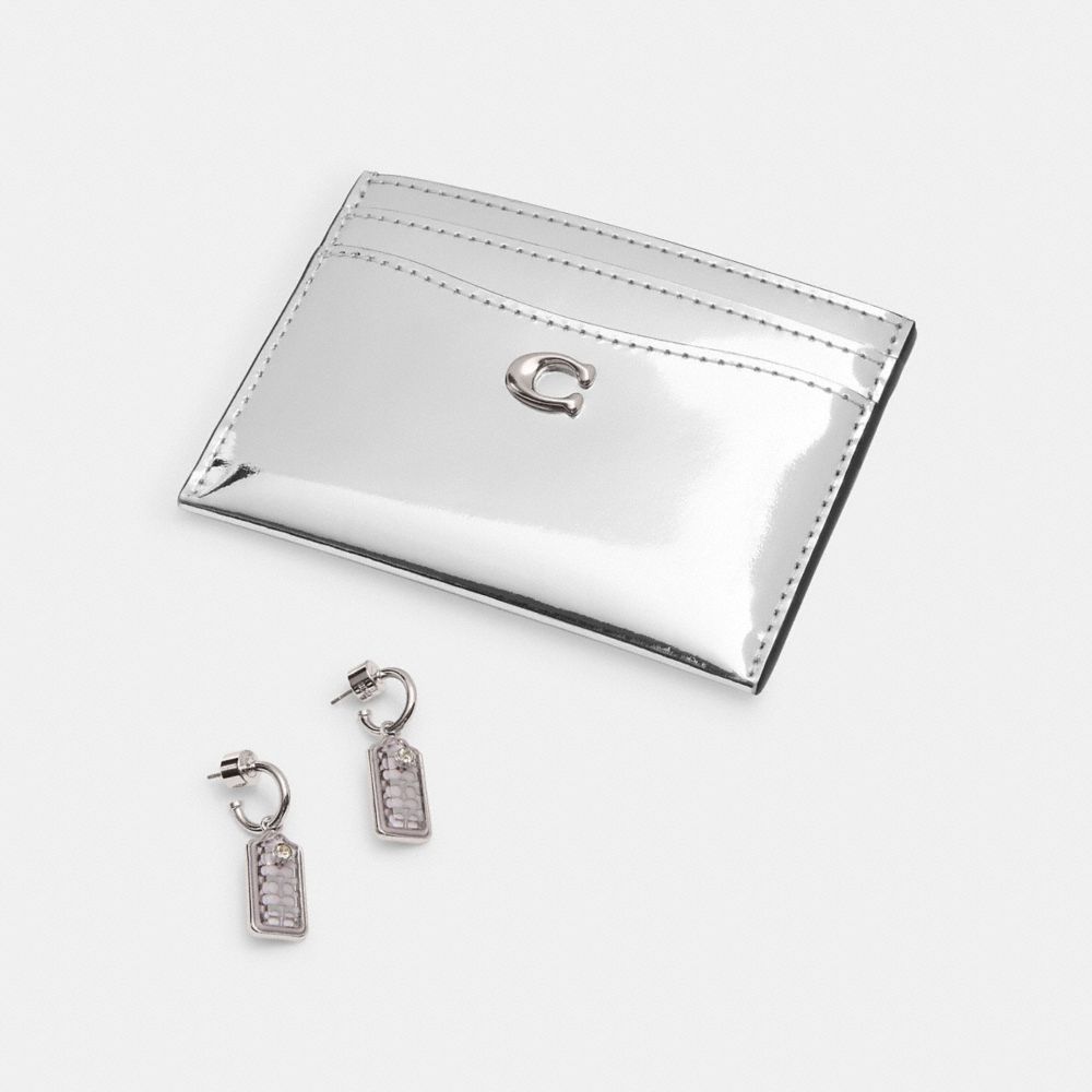 Silver store coach case