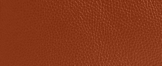 COACH®,LANA SHOULDER BAG,Polished Pebble Leather,Large,Brass/Burnished Amber