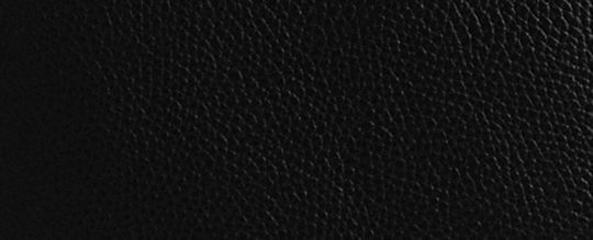 COACH®,Lana Shoulder Bag,Leather,Shoulder Bag,Metal,Logo,Casual,Black