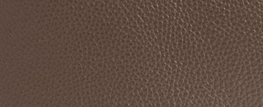 COACH®,Lana Shoulder Bag,Leather,Shoulder Bag,Metal,Logo,Casual,Brown