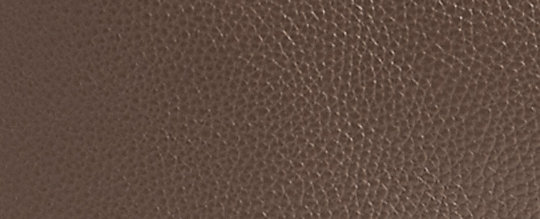 COACH®,LANA SHOULDER BAG,Polished Pebble Leather,Large,Brass/Dark Stone