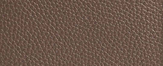 COACH®,LANA 23,Polished Pebble Leather,Small,Brass/Dark Stone