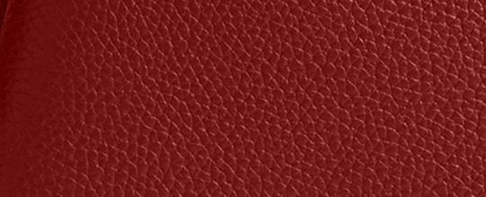 COACH®,Lana Shoulder Bag 23,Leather,Crossbody,Metal,Logo,Compact,Casual,Maroon