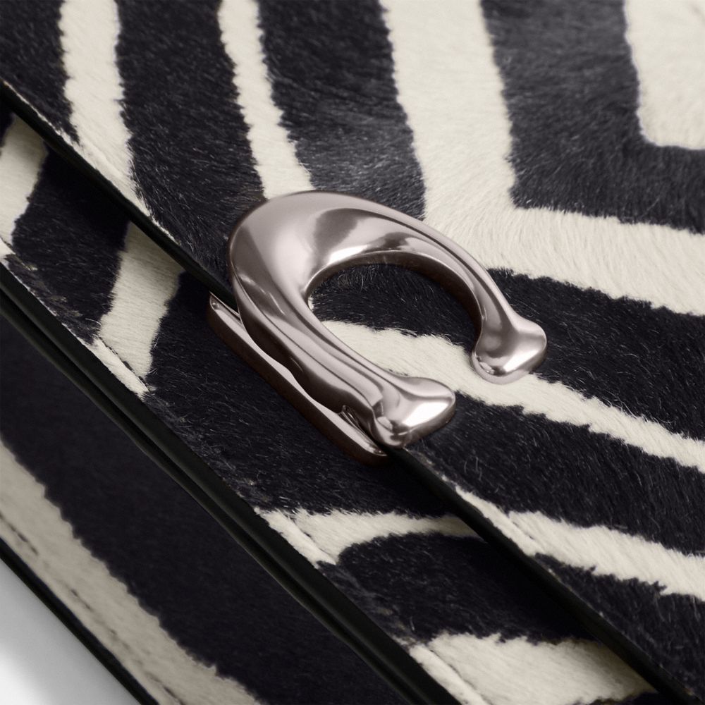 Coach hot sale zebra bag