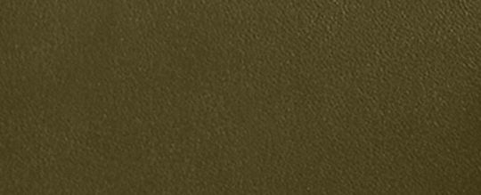 COACH®,Swing Zip Bag,Leather,Satchel,Embossed,Logo,Casual,Olive,Front View