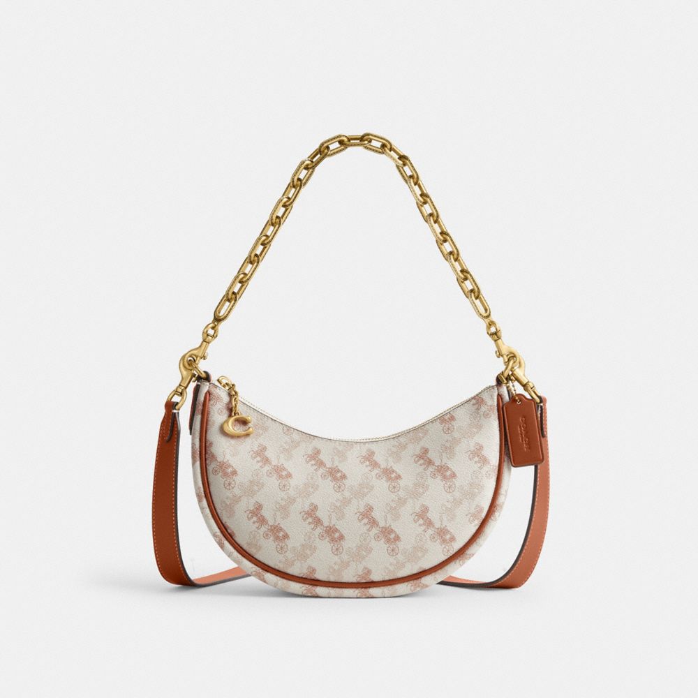 Louis Vuitton Multi Pochette Accessories Vs. Coach Poppy Crossbody in  Signature Canvas 