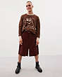 COACH®,Crewneck Sweater with Instarsia Star Frog Graphic,99% Recycled Wool,Dark Brown/Camel,Scale View