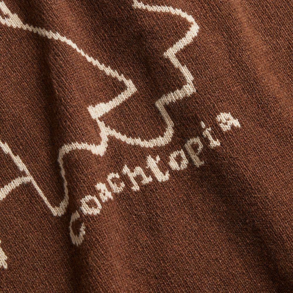 COACH®,Chandail à col rond avec graphique d’étoiles et de grenouille Instarsia,Brun sombre/Chameau,Closer View