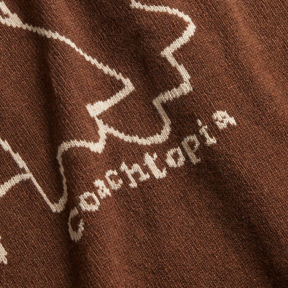 COACH®,Crewneck Sweater With Intarsia Star Frog Graphic,Wool,Sweater,Sweatshirt,Piping,Eco-Friendly,Sustainable,Casual,Lounge,Brown,Closer View