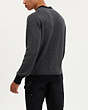 COACH®,KNIT LONG SLEEVE POLO,cotton,Charcoal/Black,Scale View