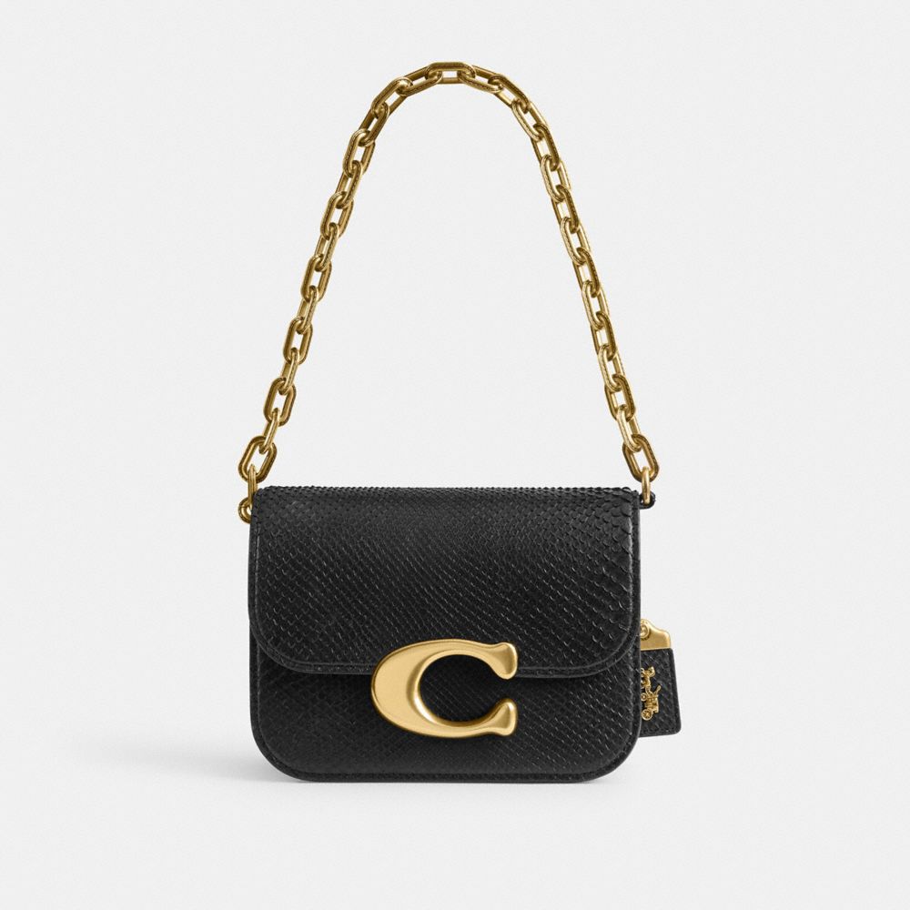 Coach bag 2024 gold chain