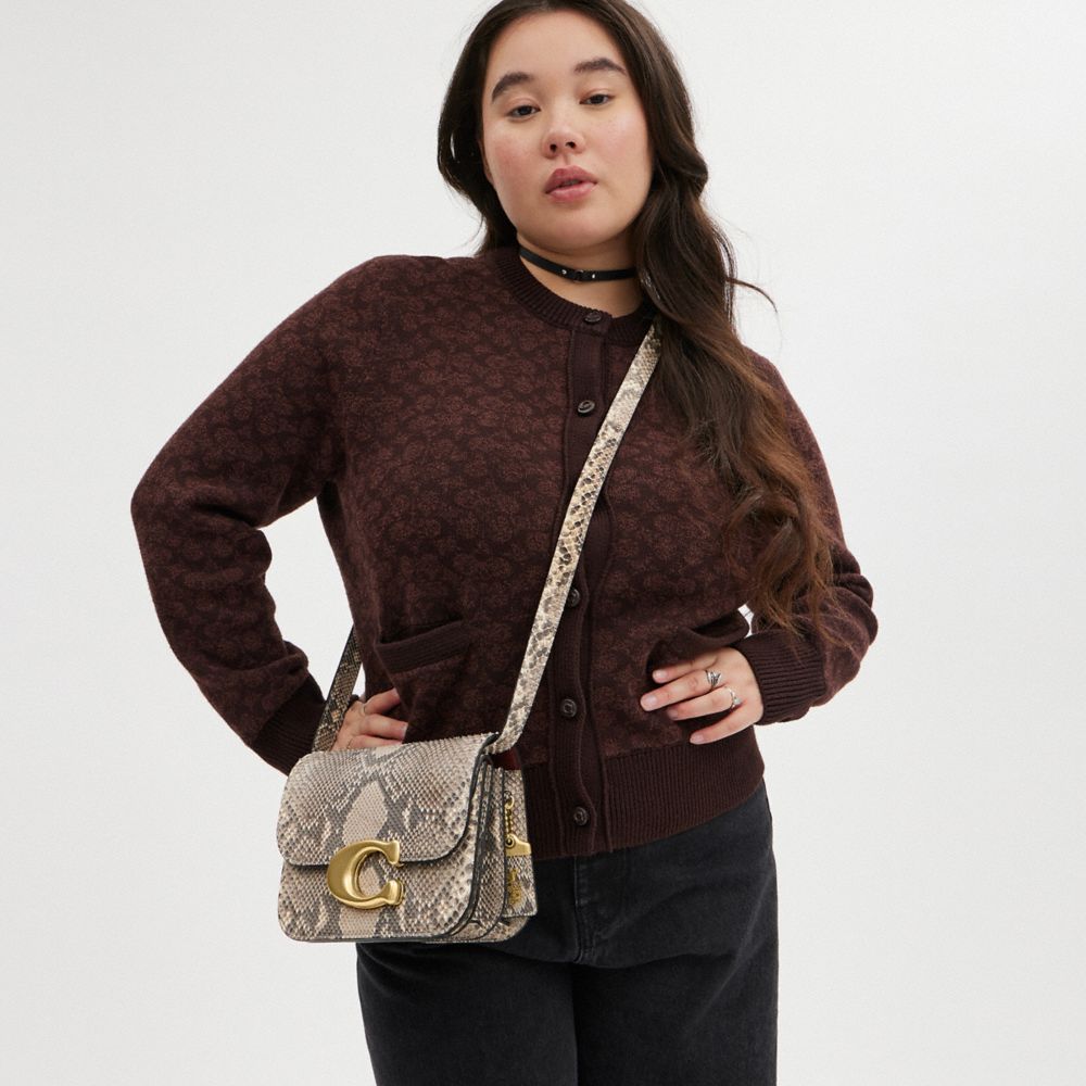 COACH®,Idol Bag In Python,Leather,Shoulder Bag,Metal,Logo,Gold Metal,Day Party,Multi Color