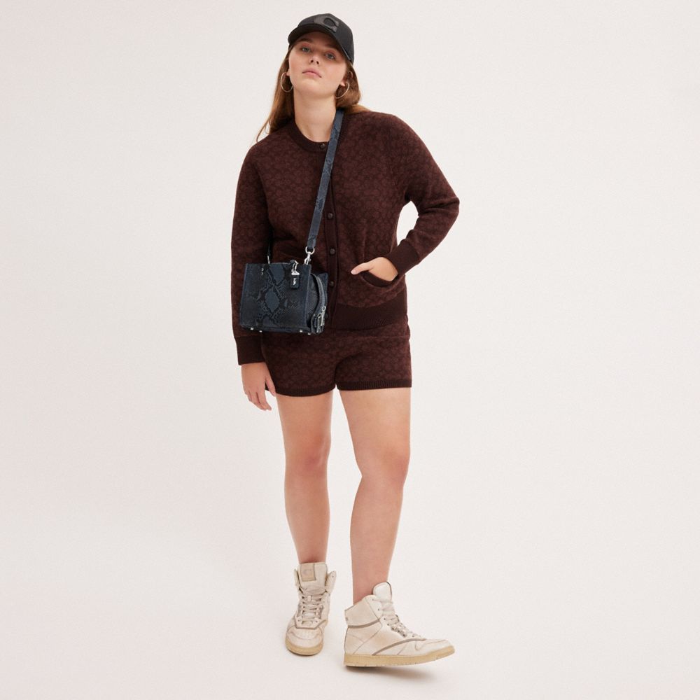 COACH®,Rogue 20 In Python,Lining Leather,Satchel,Logo,Metal,Compact,Day Party,Multi Color,Detail View