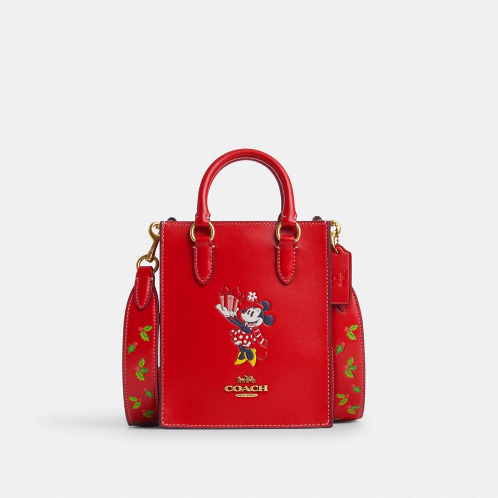 Disney X Coach North South Mini Toteサイズ