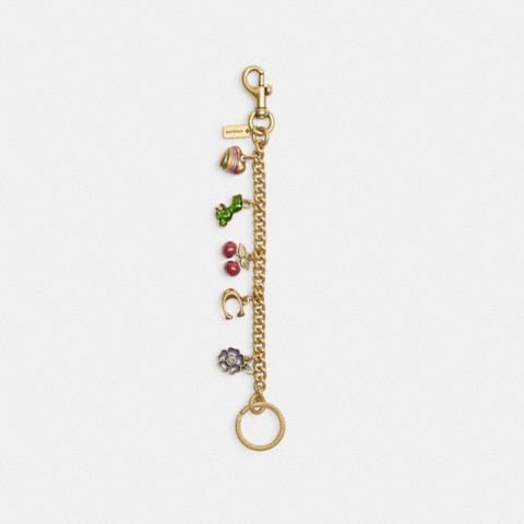 Женские брелоки Coach Motif Chain Bag Charm