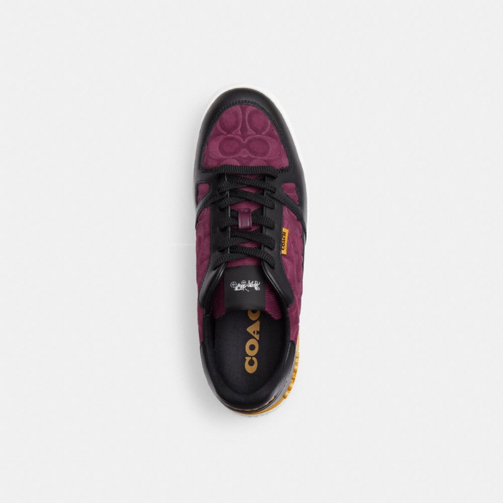 COACH®,CLIP COURT SNEAKER,Deep Berry,Inside View,Top View