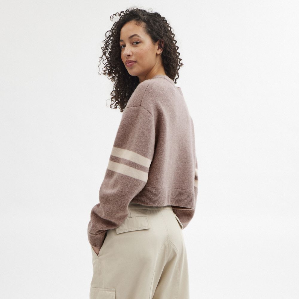 COACH®,Cropped Coach Sweater,Cotton,Pullover,Sweater,Stripe,Casual,Brown,Scale View