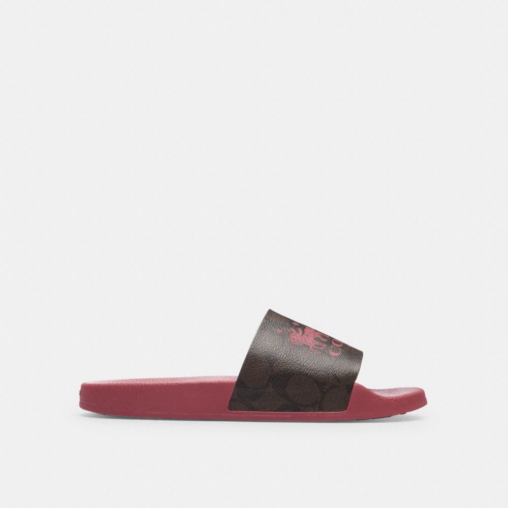 COACH®,ULI SPORT SLIDE IN SIGNATURE CANVAS WITH HORSE AND CARRIAGE,Rogue,Angle View