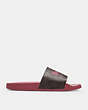 COACH®,ULI SPORT SLIDE IN SIGNATURE CANVAS WITH HORSE AND CARRIAGE,Coated Canvas,Rogue,Angle View