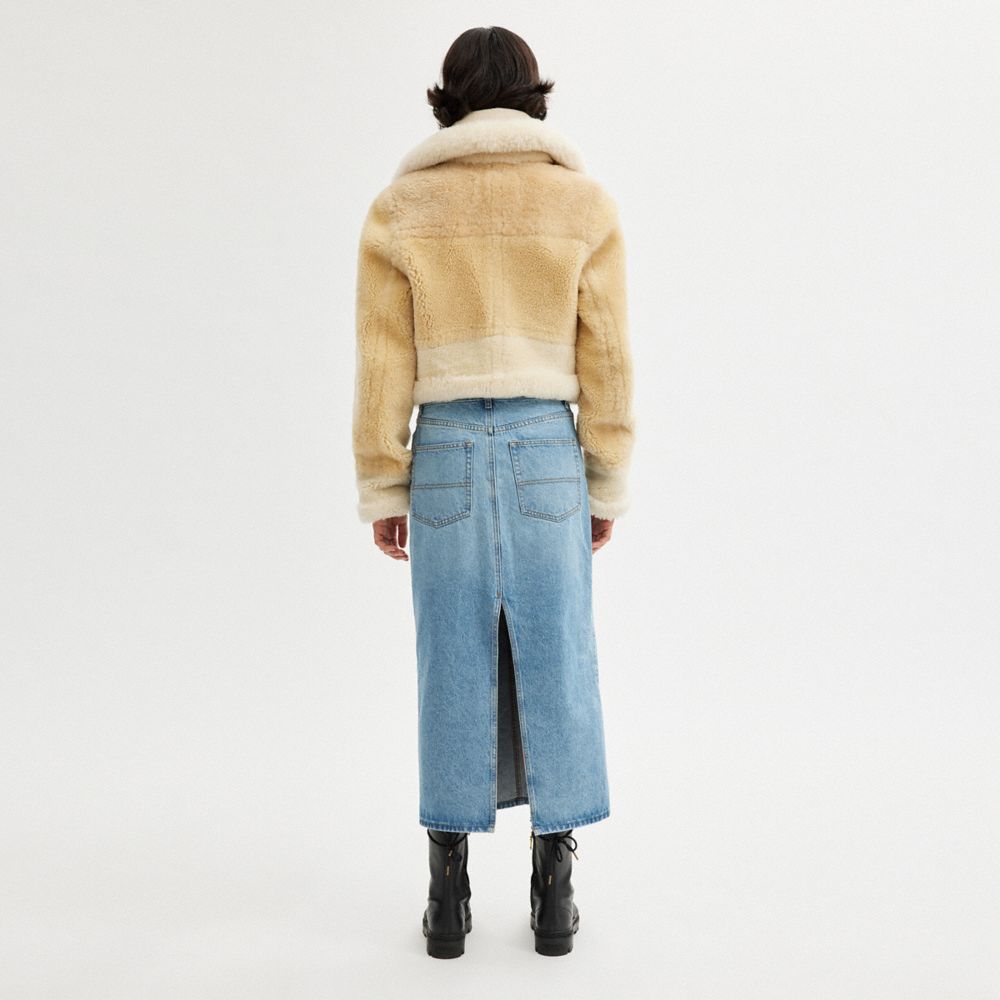 COACH®,All Over Shearling Shrunken Aviator,Shearling,Leather,Teddy,Color Block,Casual,Beige,Scale View