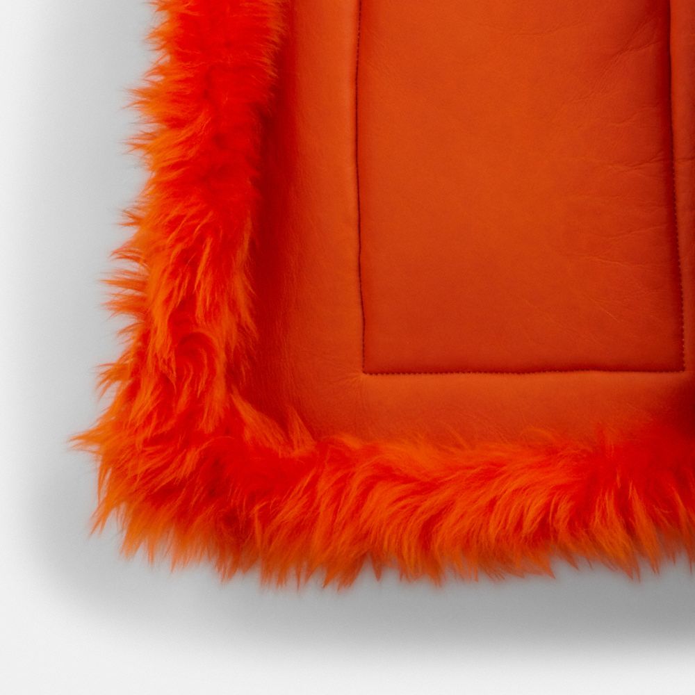 COACH®,【LIL NAS X DROP BY COACH】ポップ カラー コート,ジャケット＆アウター,